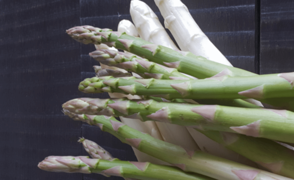 ich-verstehe-es-spargel-start